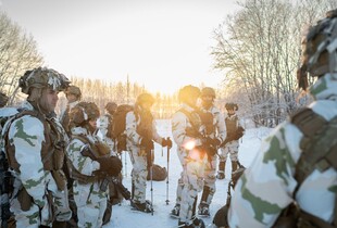 Франція розгортає військовий контингент у Гренландії – Макрон