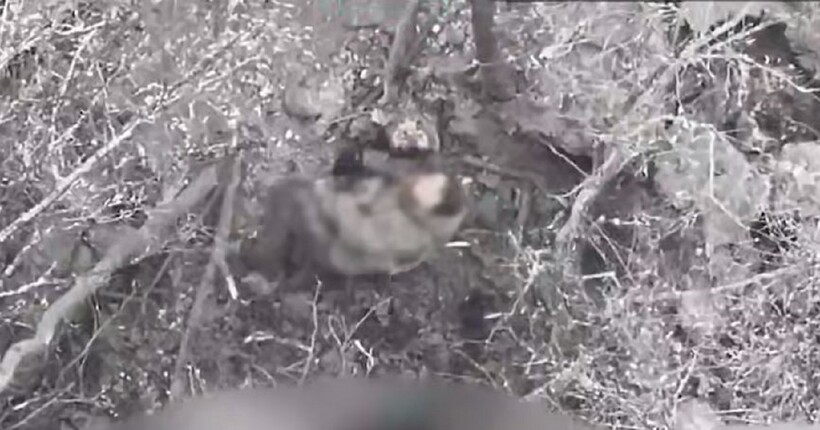 Ворог спробував прорвати позиції прикордонників на Харківщині (відео)