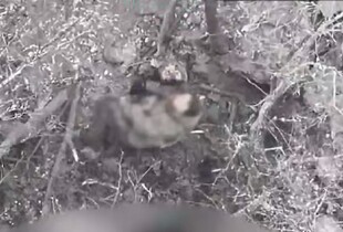 Ворог спробував прорвати позиції прикордонників на Харківщині (відео)