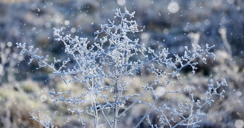 Тиждень розпочнеться з морозів: прогноз погоди на 19 січня