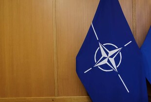 Вісім країн НАТО випустили заяву через погрози Трампа ввести мита