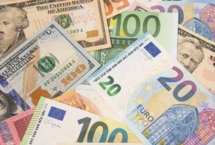 Член Ради НБУ пояснив, яким буде курс долара у 2026 році