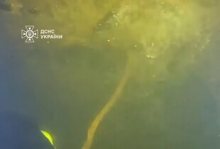 Підводна спецоперація при -15°C: рятувальники ліквідували підтоплення ТЕЦ у Києві (відео)