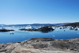 Прем'єр Гренландії заявив, що йому невідомий зміст рамкової угоди Трампа і Рютте