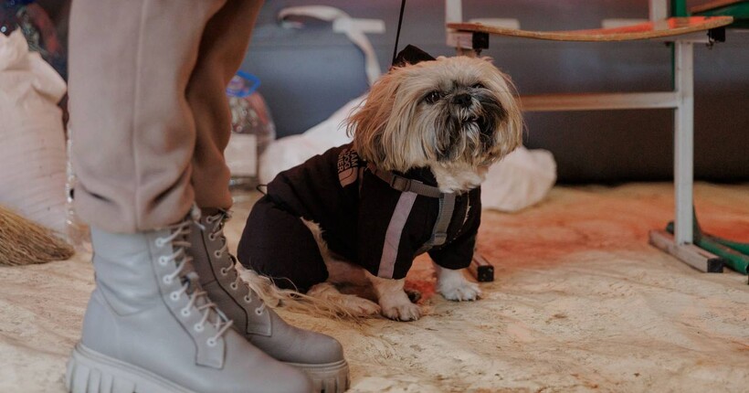 В МВС дали поради українцям через надзвичайну ситуацію в енергетиці