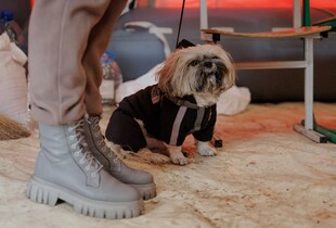 В МВС дали поради українцям через надзвичайну ситуацію в енергетиці