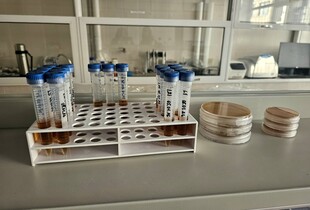 В Україні відкрилась перша лабораторія полярної біології