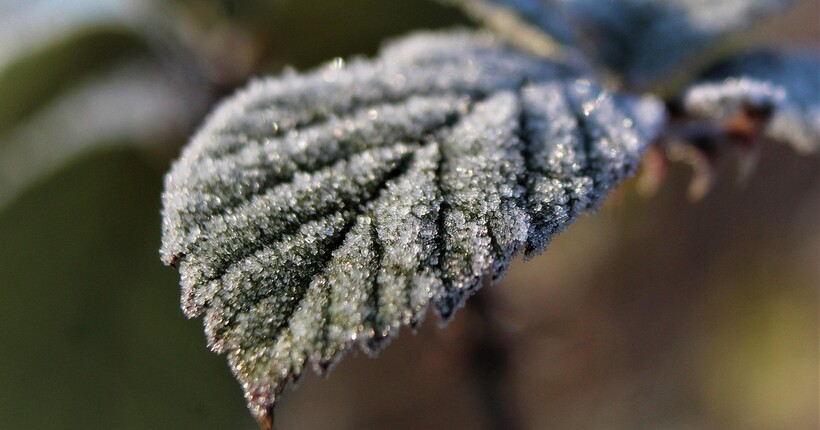 Україну після потепління накриє мороз до -24°: прогноз погоди на найближчі дні