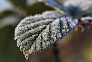 Україну після потепління накриє мороз до -24°: прогноз погоди на найближчі дні