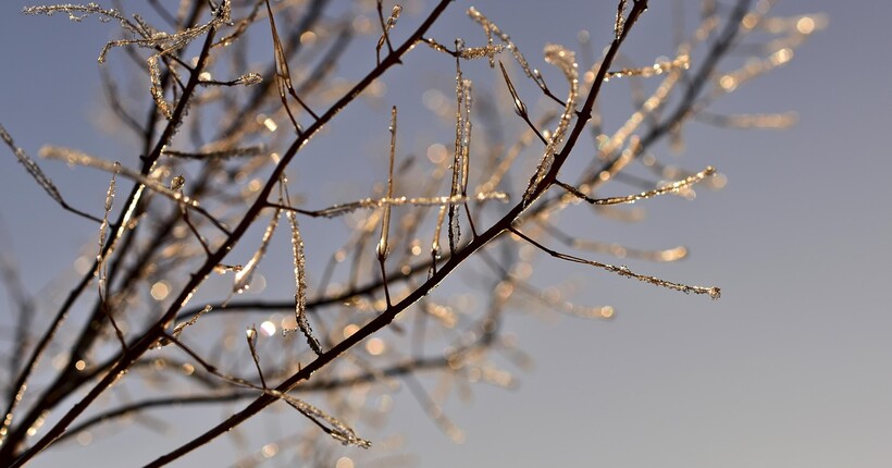 Погода в останній день січня: де в Україні буде плюс і кому приготуватись до -12º