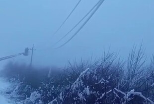 На Одещині через негоду сталися обриви електромереж: без світла кілька районів