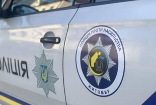 На Житомирщині 16-річна дівчина стріляла у собаку: поліція відкрила провадження