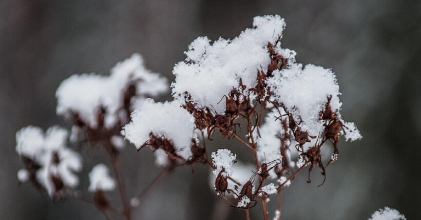 В Україні нарешті потеплішає: прогноз погоди на 5 лютого