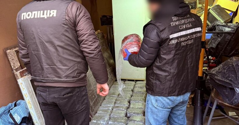 Правоохоронці викрили підпільний бізнес із вирощування та збуту канабісу: вилучено доказів на 5 млн грн