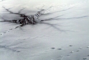 На Вінниччині чоловік втопився у Дністрі, намагаючись перетнути держкордон