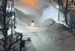 Рекордні снігопади в Японії забрали життя 45 людей