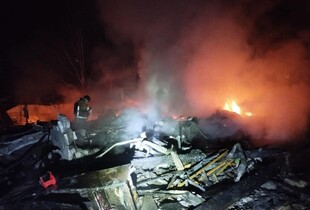 На Запоріжжі через обстріли поранено 10 людей та зруйновано притулок для тварин