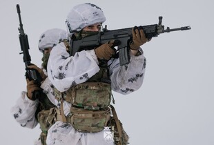 Сили оборони зачистили Тернувате на Запоріжжі (відео)