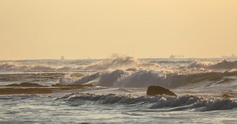 Екологічна катастрофа в Чорному морі: через російські дрони масово гинуть краби