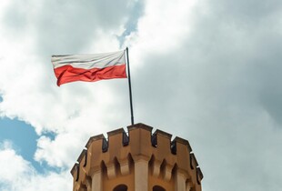 Польща виходить з Оттавської конвенції про заборону протипіхотних мін