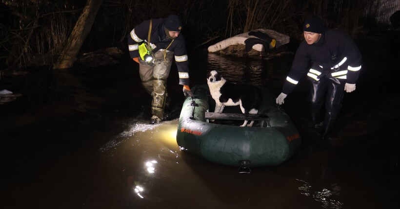 Катастрофа в притулку 