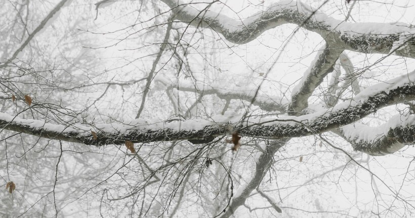 Сніг, дощ і штормовий вітер: на Україну насувається південний циклон