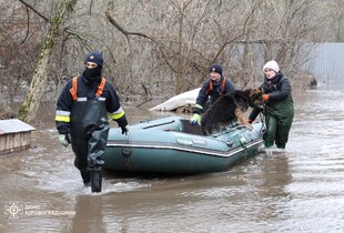 Підтоплення притулку і будинків в Кропивницькому: в міськраді пояснили, що викликало паводок