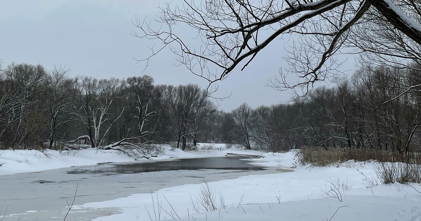 Прогноз погоди на 19 лютого: де в Україні пройдуть дощі та сніг