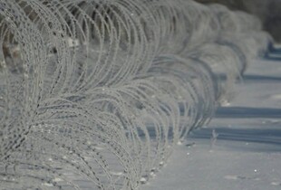 Росіяни знову почали спроби інфільтрації на Сумщині - Трегубов