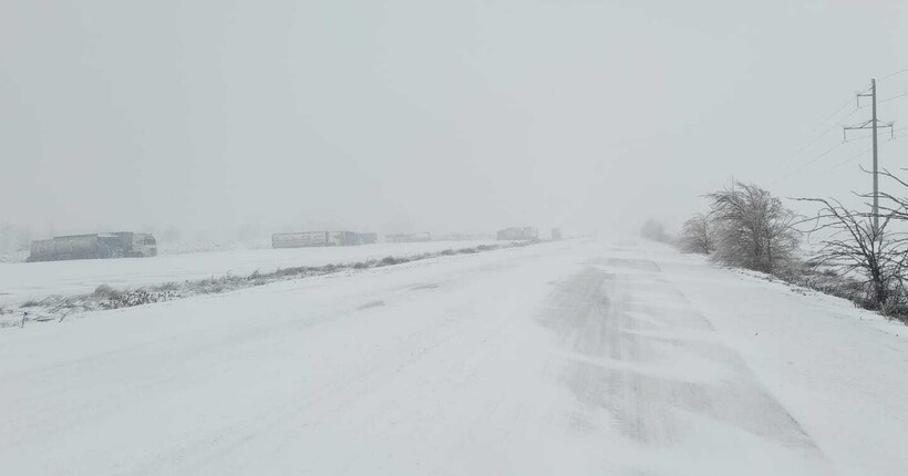 На кордоні з Румунією призупинили оформлення вантажівок і автобусів