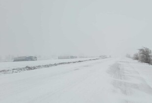 На кордоні з Румунією призупинили оформлення вантажівок і автобусів