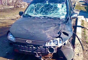 На Дніпропетровщині через російські обстріли постраждало п'ятеро людей: пошкоджено заклад освіти