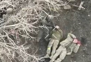 Україна за чотири роки задокументувала понад 240 000 злочинів агресії рф - Кравченко