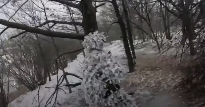 На Північно-Слобожанському ССО напрямку зайшли у тил окупантів: є втрати серед росіян (відео)