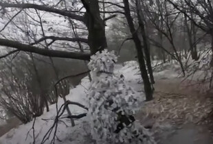 На Північно-Слобожанському ССО напрямку зайшли у тил окупантів: є втрати серед росіян (відео)