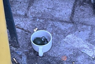 У Львові біля смітника знайшли бойову гранату: поліція встановлює особу, причетну до злочину