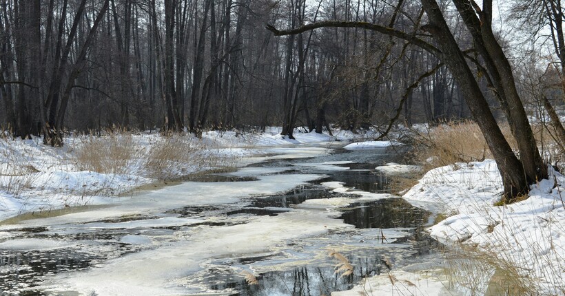 Від +1 до +12 градусів, але з вітром: прогноз погоди на 5 березня