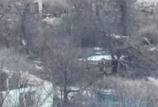 На Куп’янському напрямку десантники знищили окупантів, які намагалися закласти міни (відео)