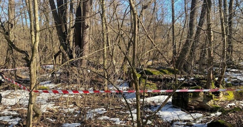 На околиці столиці виявили бойову частину російського ударного БпЛА (фото)