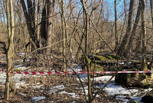 На околиці столиці виявили бойову частину російського ударного БпЛА (фото)