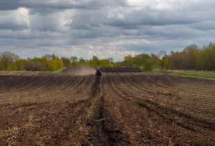 Посівна-2026 в Україні обійдеться на 15% дорожче: як це вплине на ціни на продукти