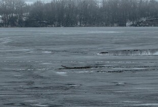 У Києві двоє дітей опинилися на крижині посеред річки: їх віднесло від берега