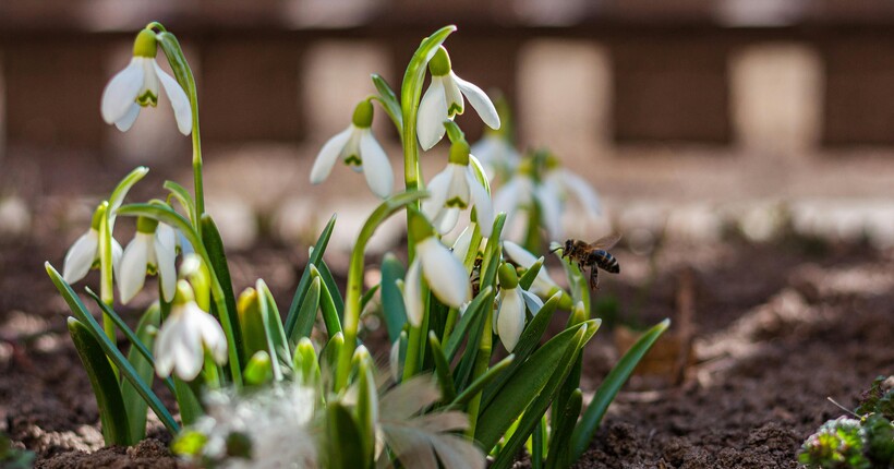 В Україні пройдуть перші дощі: прогноз погоди на 17 березня