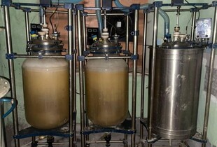 Наркоділків, яких викрили під час спецоперації 