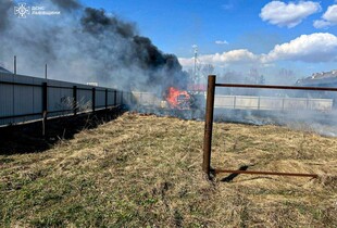 У Яворові на Львівщині через загоряння сухостою згорів електрокар Tesla (фото)