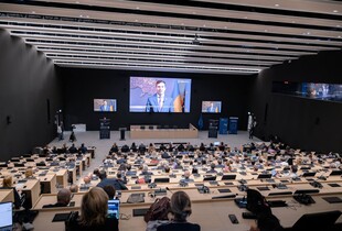 Україна повернула понад 2000 викрадених росією дітей - Лубінець