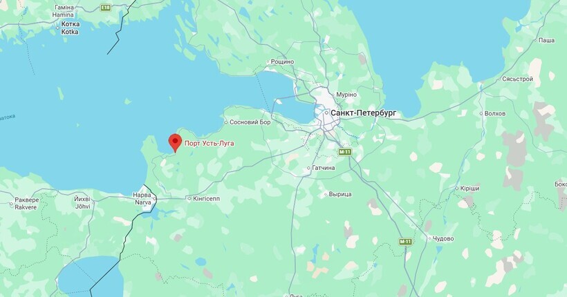 БпЛА атакували порт Усть-Луга та хімзавод у Воронезькій області - ЗМІ