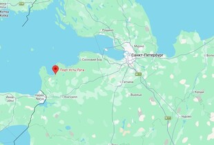 БпЛА атакували порт Усть-Луга та хімзавод у Воронезькій області - ЗМІ