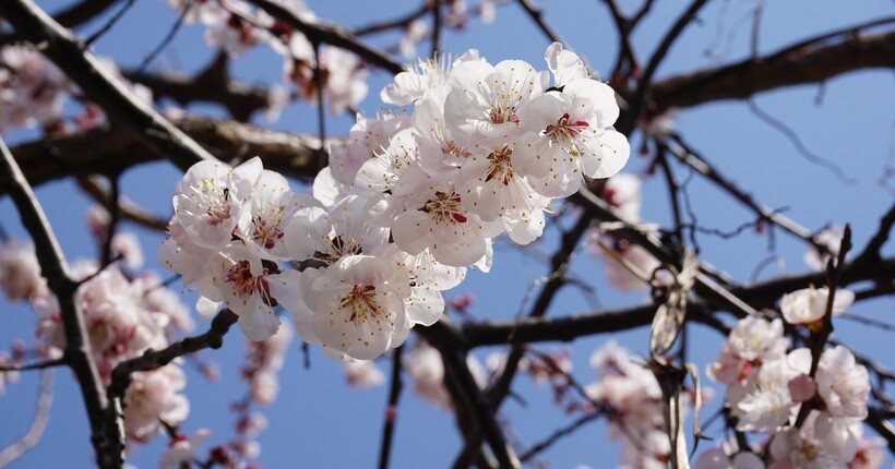 Діденко розповіла, якою буде погода на Великдень і коли потепліє в Україні