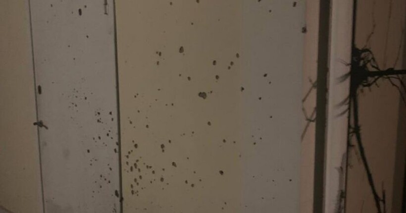 На Черкащині затримали нападника, який підірвав гранату у дворі приватного будинку